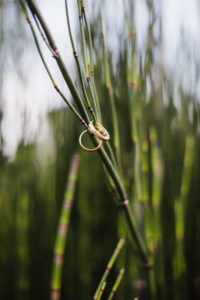 Hochzeitsringe Ringe