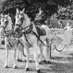 Kutsche Hochzeit